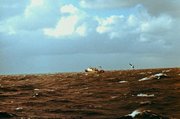 1986r. 'orka' na łowiskach w rejonie Falklandów