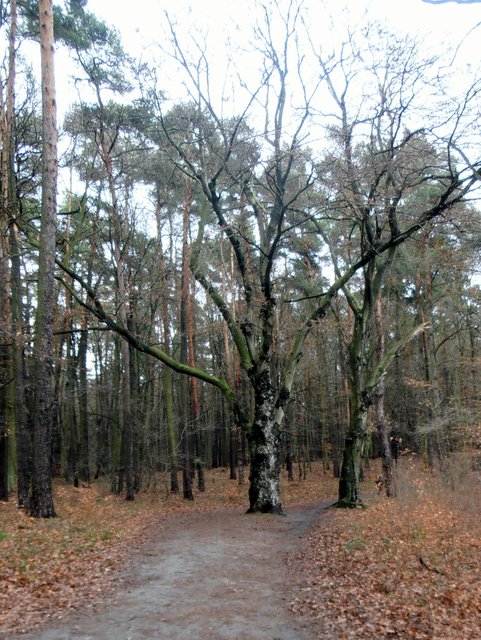 Za północnym krańcem