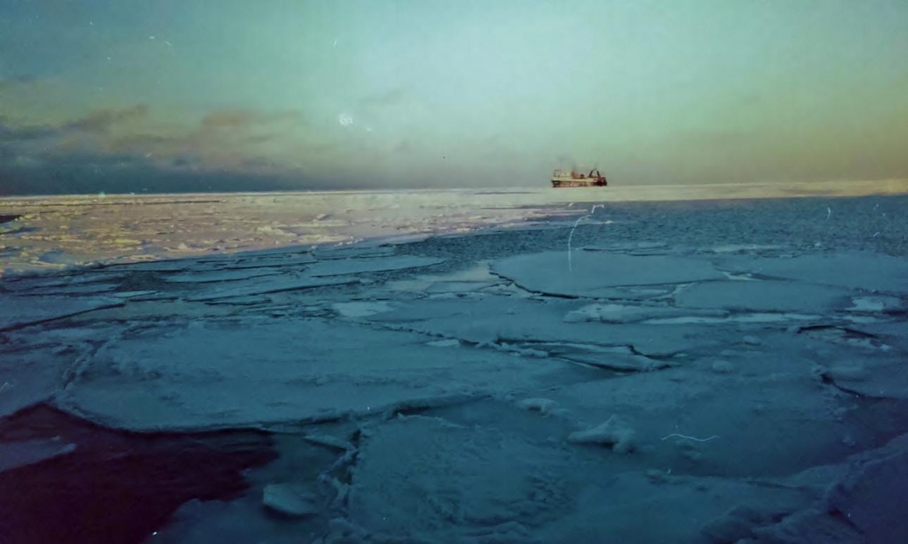 Morze Beringa