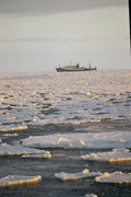 M/T Foka na Morzu Beringa -  2000r. (Odra Świnoujście)