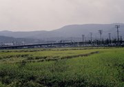 Pola ryżowe, Korea Południowa