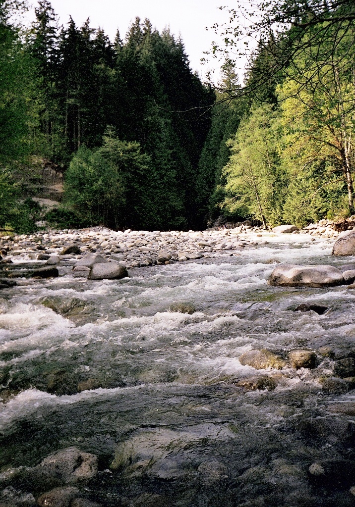 Rzeka w Lynn Canyon Park