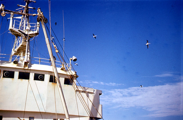 m/t Delfin, 1979, Namibia, Mostek widziany z "ogródka"