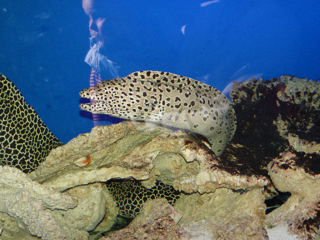 Oceanarium w Międzyzdrojach