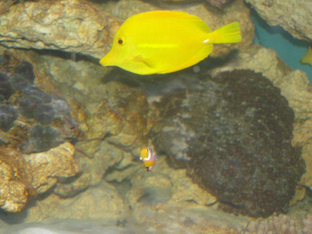 Oceanarium w Międzyzdrojach