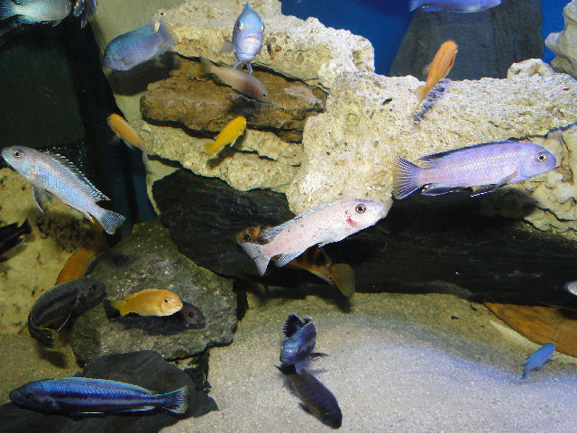 Oceanarium w Międzyzdrojach