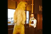 Misiek mi mówi, żebym się nie pchał i stał spokojnie w kolejce ... na lotnisku w Anchorage, Alaska, USA-1986r.
