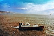 1986 w rejonie Portu Stanley na Falklandach