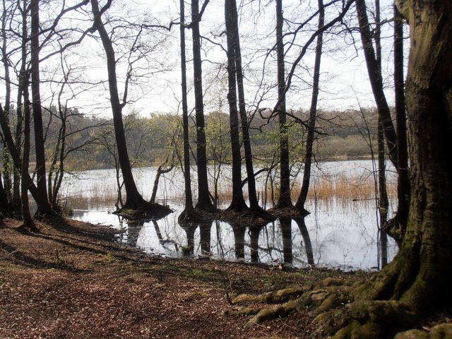 Dookoła Głębokiego 4