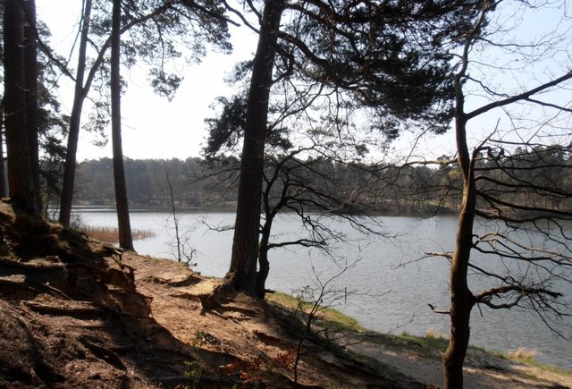 Dookoła Głębokiego 11