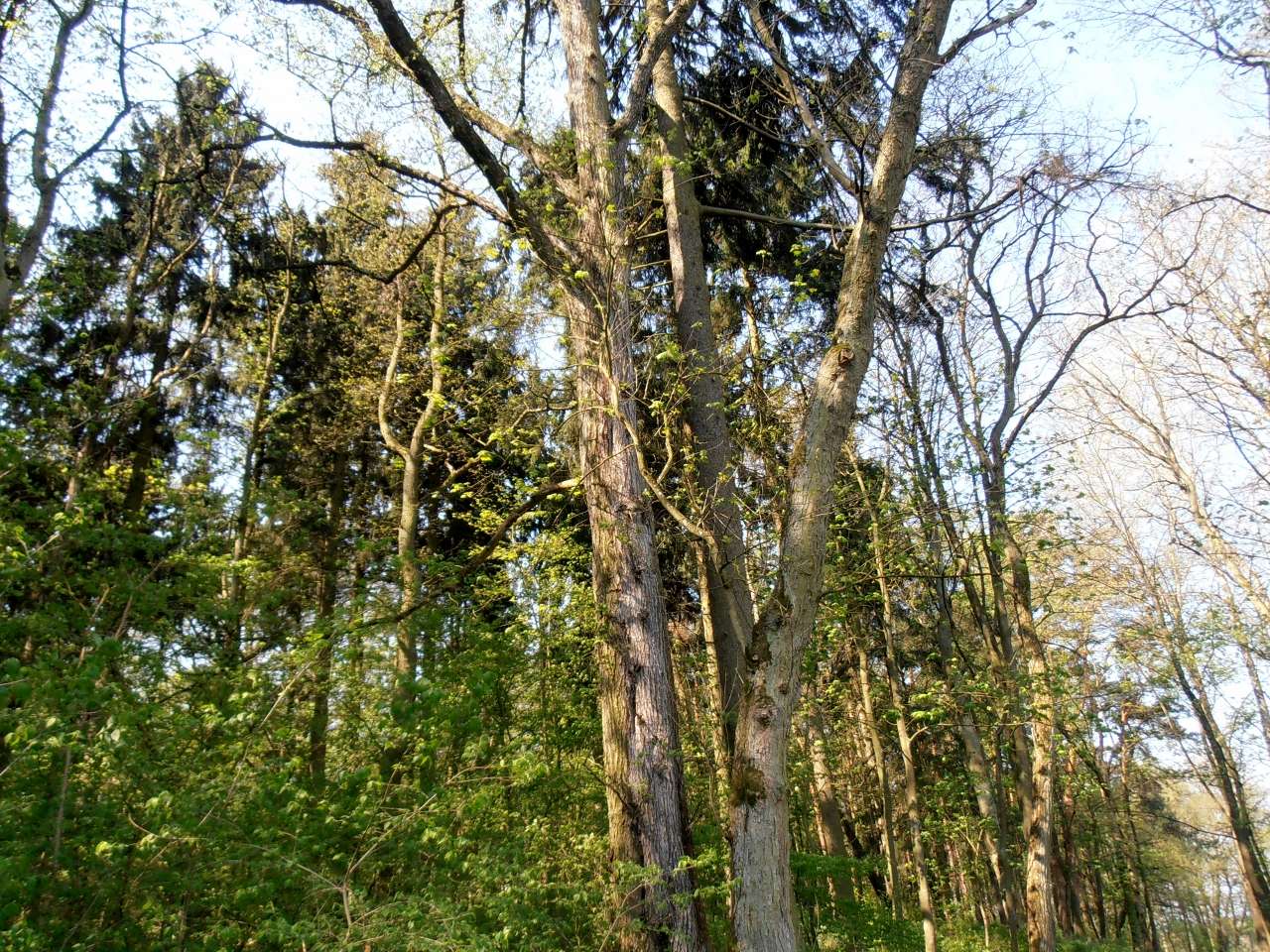 Wiosna na Głębokim 11