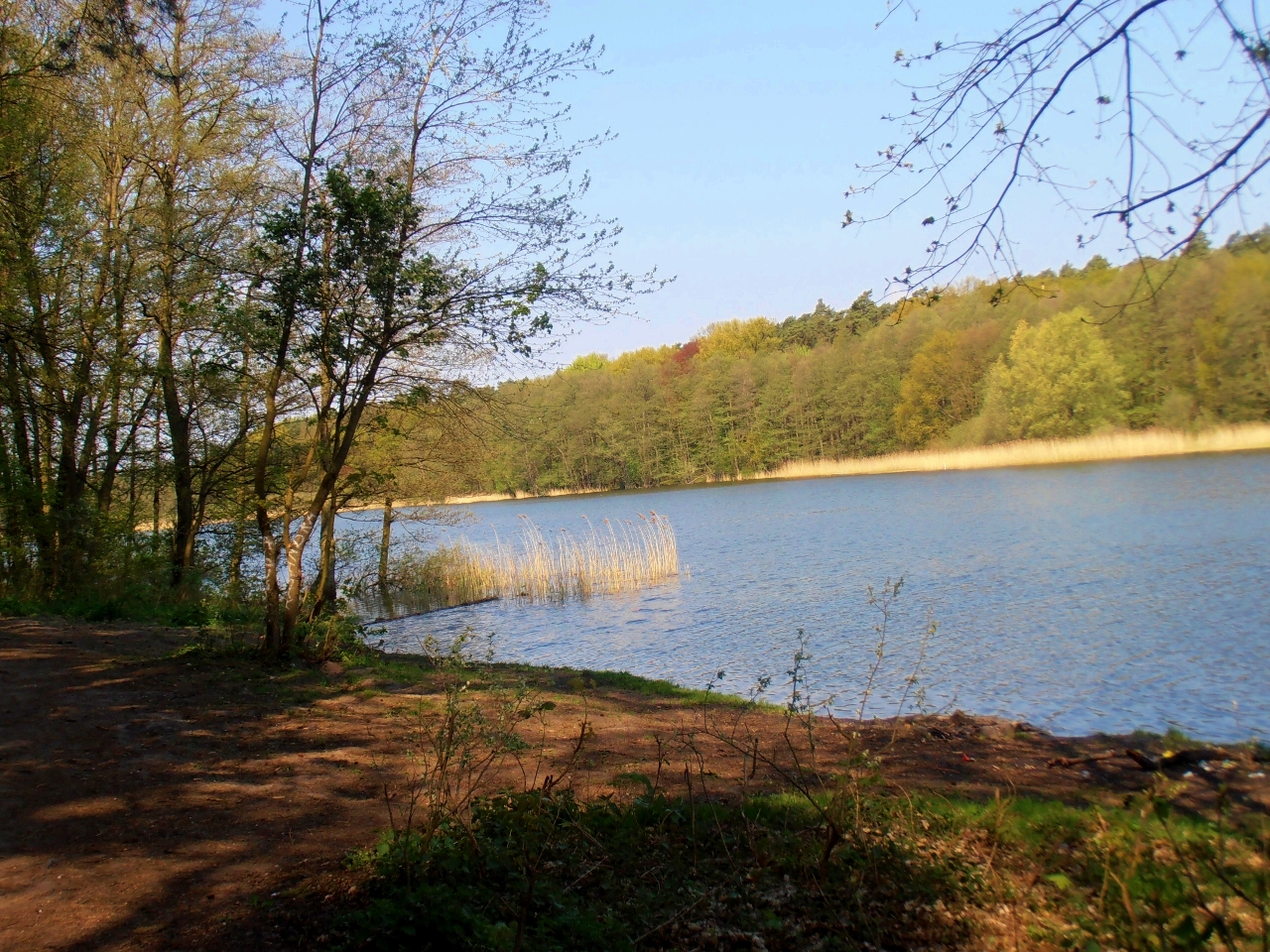 Wiosna na Głębokim 12
