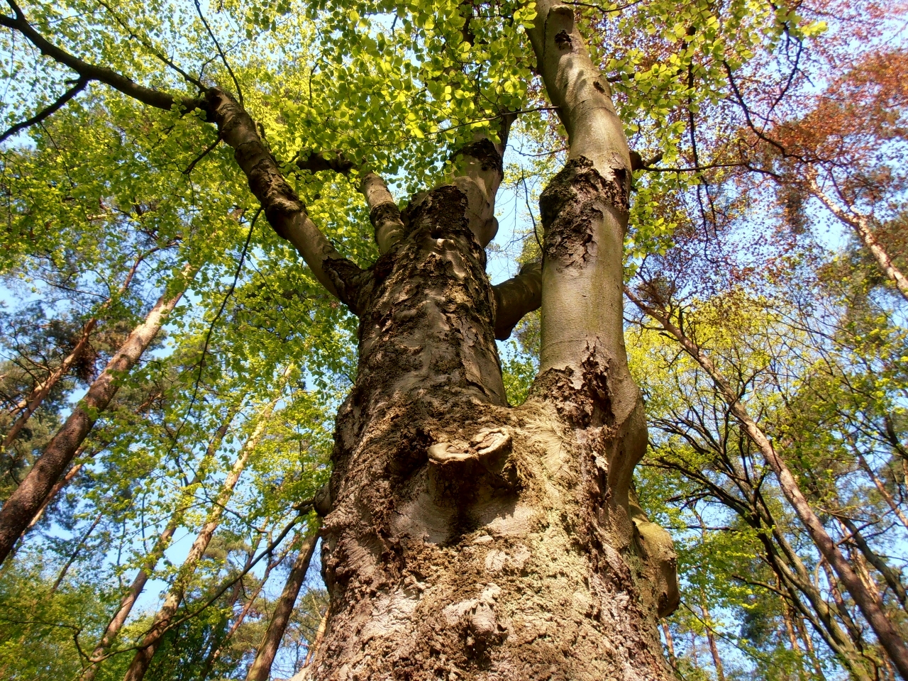 Wiosna na Głębokim 13