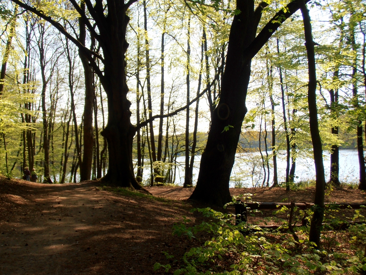 Wiosna na Głębokim 14