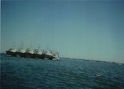 mt Koleń Montevideo 1989