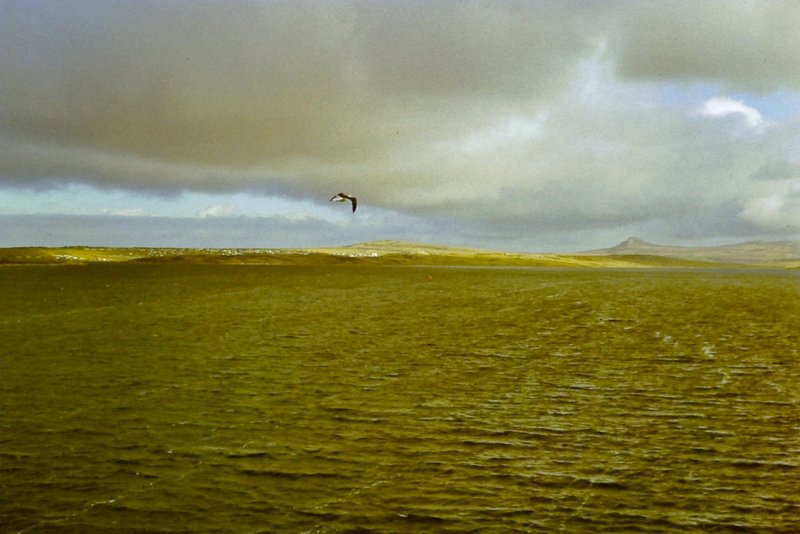 28. Falklandy