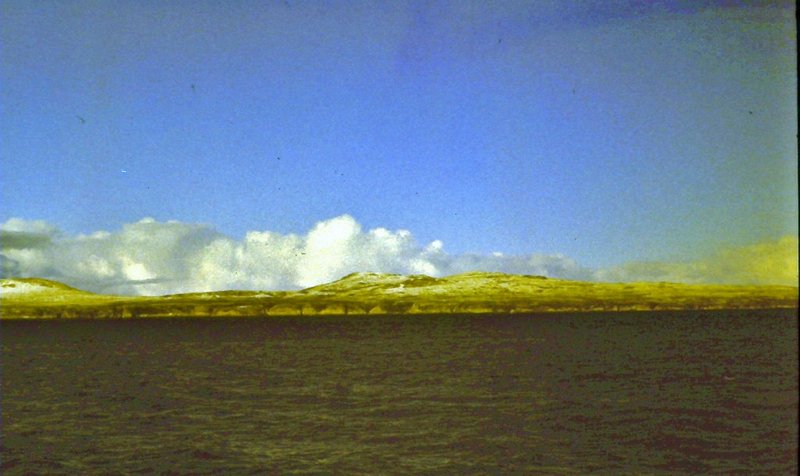 56. Falklandy