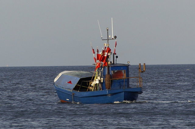 Świ 32