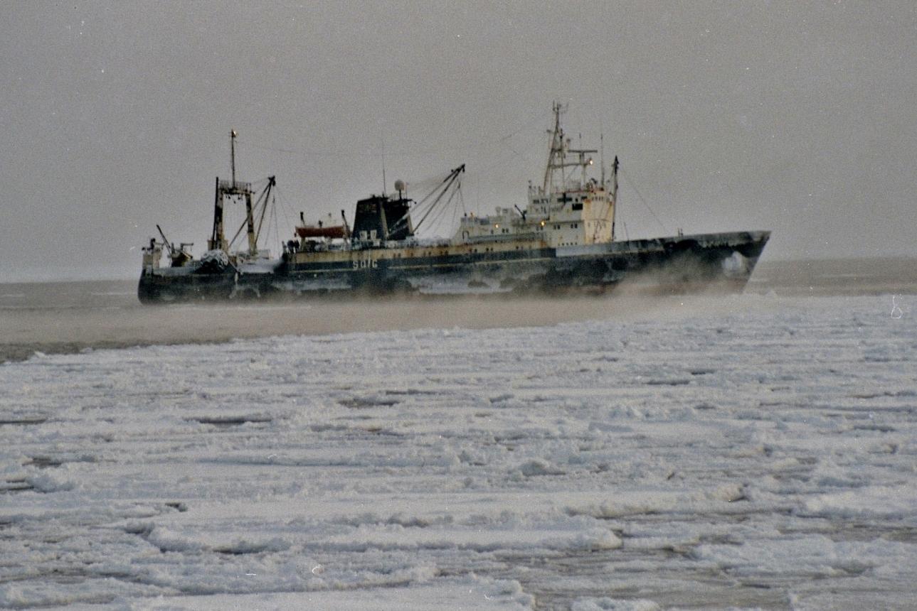 m/t Bogar - Morze Beringa