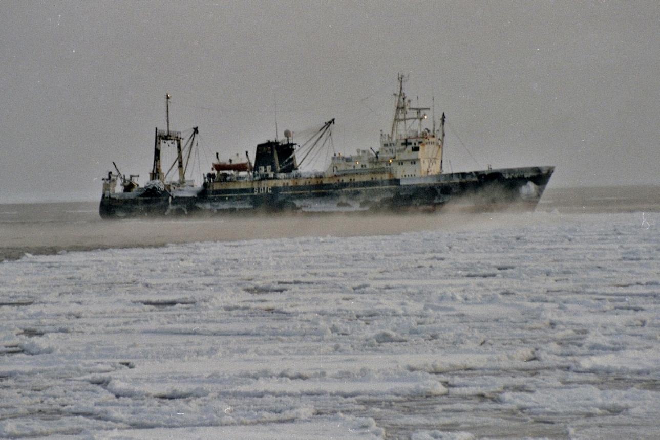 m/t Bogar - Morze Beringa