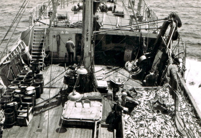 14.Rejs na m/t Mielno