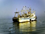 m/s Halniak